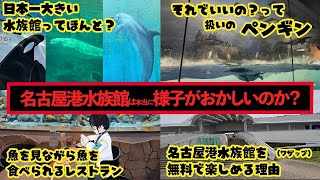 名古屋港水族館の様子は本当におかしいのか？【愛知 ロケ 栞葉るりさん曰く】