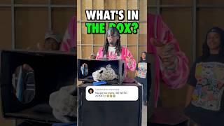 AMP WHAT'S IN THE BOX [PART 2]