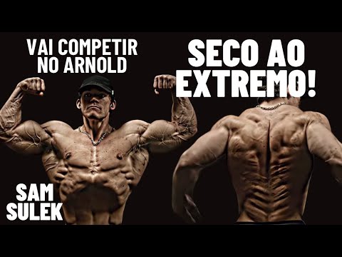 SAM SULEK VAI COMPETIR! REI DA ENZOLÂNDIA - SECO AO EXTREMO