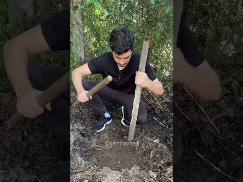 catching worms for fishing