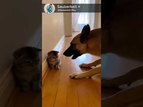 You don’t touch her baby