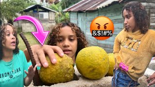 Una Problemática En Acción (parte 1) 🤣