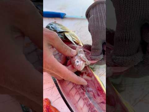 What was inside this mahi? video thumbnail