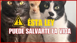 ¿Por qué la POLÉMICA normativa de medicamentos VETERINARIOS podría SALVARTE la VIDA?
