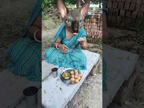 😃😃golgappe 😃😃golgappe 😃😃😃🥱🥱🥱🥱😛😛😛😛👈👈👈 #funny