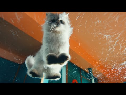 BESPOKE Jet™ AI : Jet Pet Care | Samsung