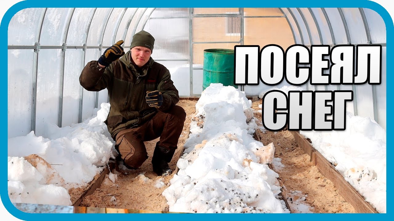 НЕ ВЫДЕРЖАЛ ЭТОГО! ТЕПЕРЬ В ТЕПЛИЦЕ СНЕГ, А В ДОМЕ КУЧА ПРОВОДОВ