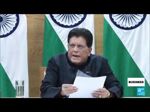 India says trade deal with US 'best in the region' but keeps mum on Russian oil • FRANCE 24 English