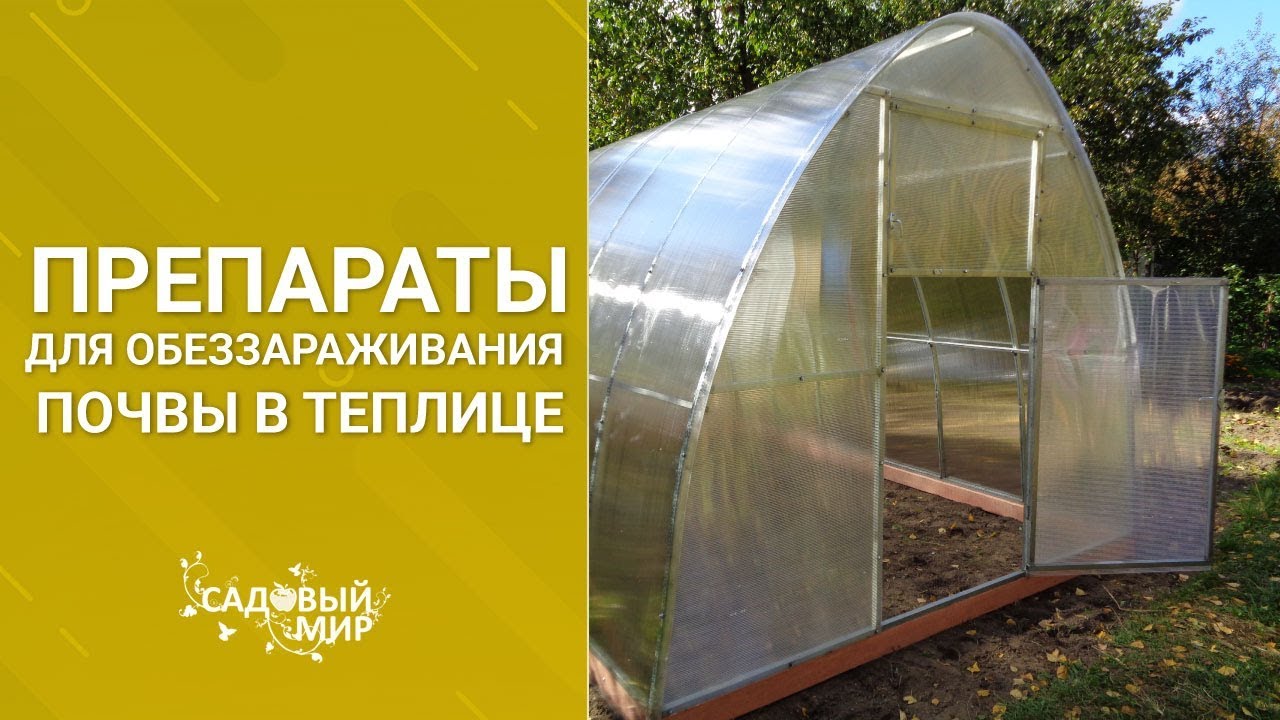 Препараты для обеззараживания почвы в теплице. Томаты до октября в теплице