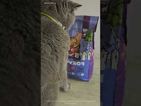 This cat is very smart ( @lukeskywalker.cat