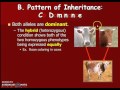 Codominance and Incomplete Dominance Concepts