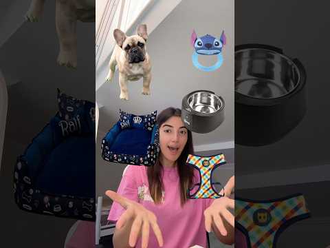 Köpeğime kombin Ne Seçtim?! *reklam yok