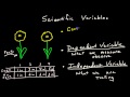 Experimental Design and Variables