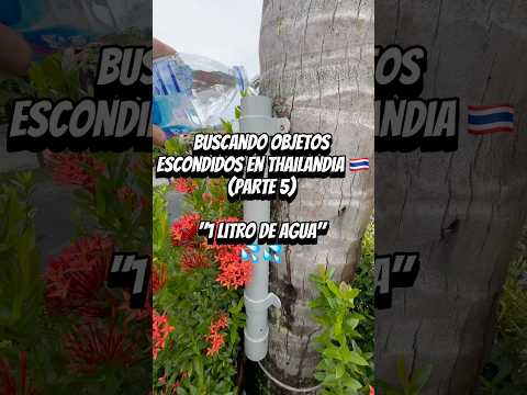 Necesitaras 1 litro de agua!