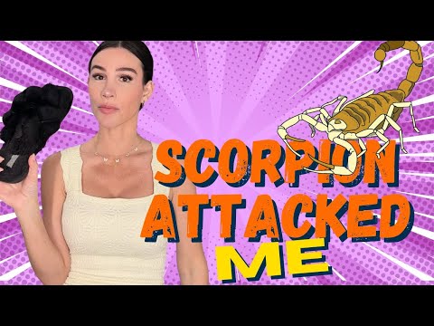 A SCORPION ATTACKED ME! 🦂