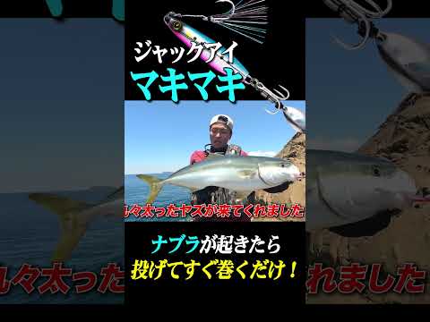 マキマキでナブラ撃ち！巻くだけでどんな状況にもアジャストしてくれますね！