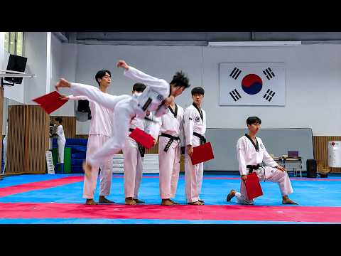 Korean Taekwondo Masters Showcase Incredible Skills! 🇰🇷