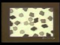 Understanding Solids and Liquids