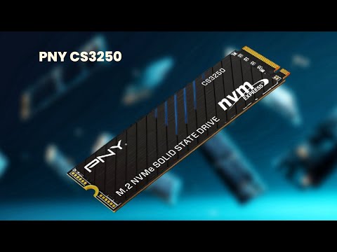 PNY CS3250 : First Look - Review Full Specifications