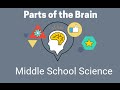 Understanding the Brain