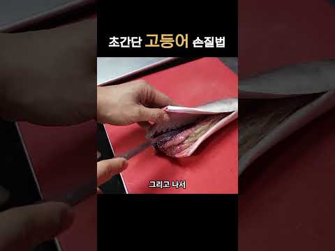 30초 고등어 손질법