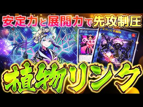 【遊戯王マスターデュエル】安定力と展開力で先攻制圧！植物リンクデッキ【ゆっくり解説】【Yu-Gi-Oh! Master Duel】