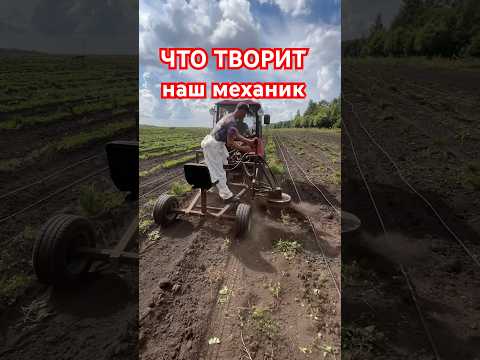 «Пропольник» на 6 га в день своими руками