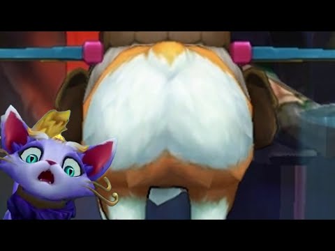 LoL - 犬派｜Corki