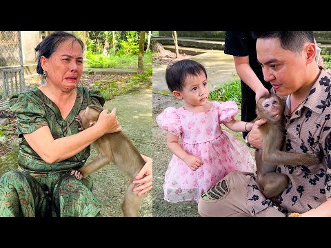 Monkey Kaka hugged her father after many days of separation
