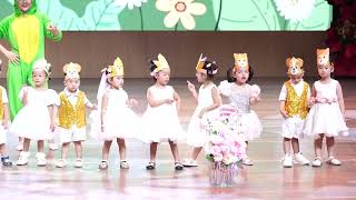 AMON OPENING CEREMONY 2026-2027: Ca cảnh "Mèo con đi học" - BABY 1 - AMON NC