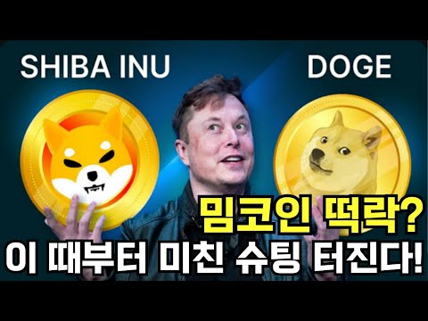 [시바이누-도지코인] 긴급속보!! 밈코인 떡락? 이 때부터 미친 슈팅 터진다!!