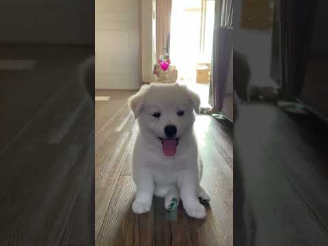 그렇게 귀엽게 앉기 있기?..