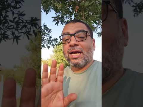 #كلبك_على_ما_تربيه فراخ بالمسطردة