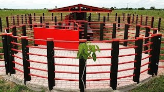 Nuestro capitulo de hoy AGROEXPO 2025 LA CASITA DE TAGU   TALLER GANADERO, BASCULAS PROMETALICOS