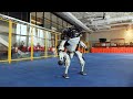 Understanding the Video Transcript