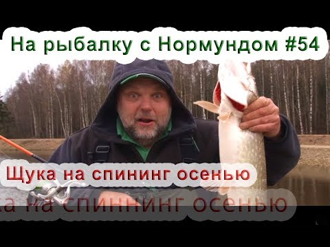 Щука на спиннинг поздней осенью. На рыбалку с Нормундом #54