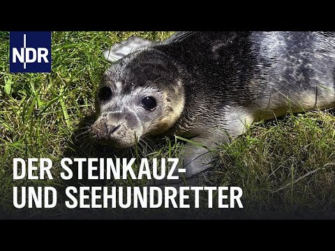 Artenschutz und Eulenzucht in Nordfriesland  | Die Nordreportage | NDR Doku