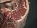 Meat Grading and Yield Factors
