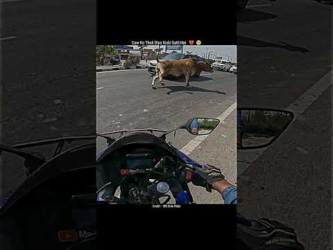 Cow Ko Thok Diya Kisi Galti Hai๐๐ฅบ#motovlog #viral #ytshorts #emotional #cow #crash #sad #reels #vlog