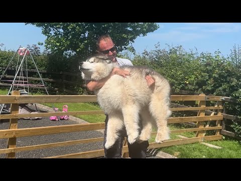 We Had A Surprise Visitor! Everyone Is So Happy!