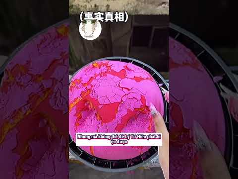 Sao em không ngăn nó lại #haihuoc #funny #shorts