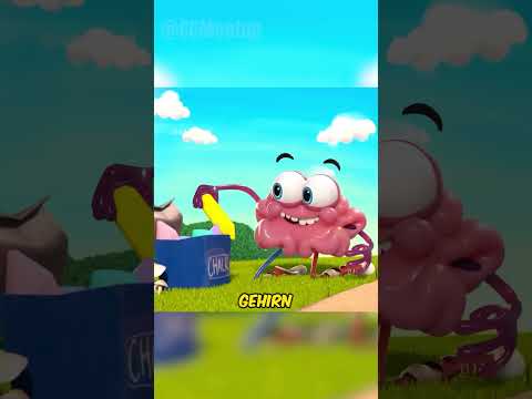 Das Gehirn hatte viel spaß bei dem Ausflug! #shorts #deutsch #geschichte