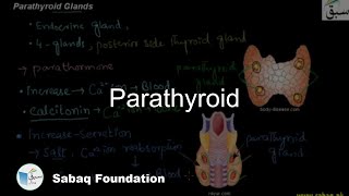 Parathyroid