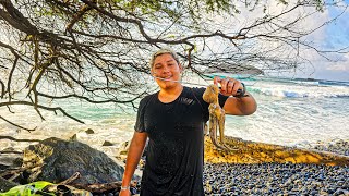 PESCANDO POLVO NA ILHA 🐙