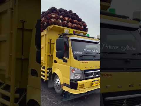 anggok anggok geleng geleng