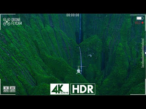 4K Video ULTRA HD 240 FPS | Unreal World Dolby Vision 4K HDR