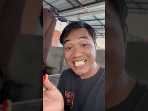 Berbagi permen chup4 dengan semut #short #candy