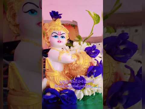 #శ్రీ కృష్ణా గోవింద్ హరే మురారి 🙏 #new #devotional #shorts #ytshorts
