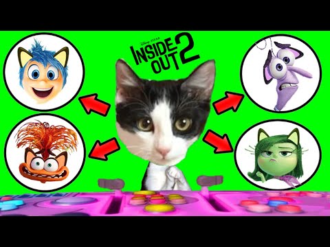 GATO VIVIENDO 24 HORAS LAS EMOCIONES DE LA PELICULA INSIDE OUT 2 vs gatitos Luna y Estrella