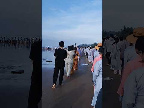 Từng bước chân an lạc.#mchieuthanh #thiền #viral #viralvideo#shorts #shortvideo#trending#hanhphuc